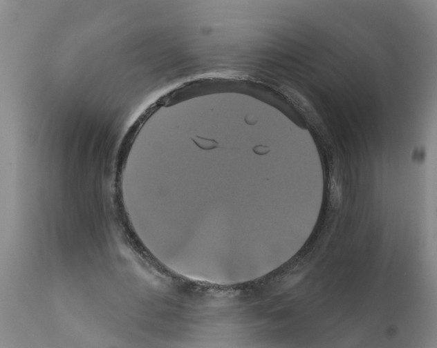 X0000111520484200908251141