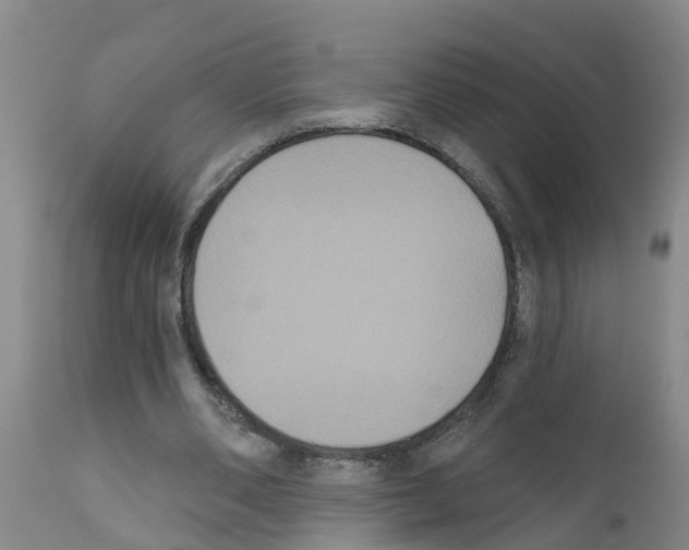 X0000111520486200908251141
