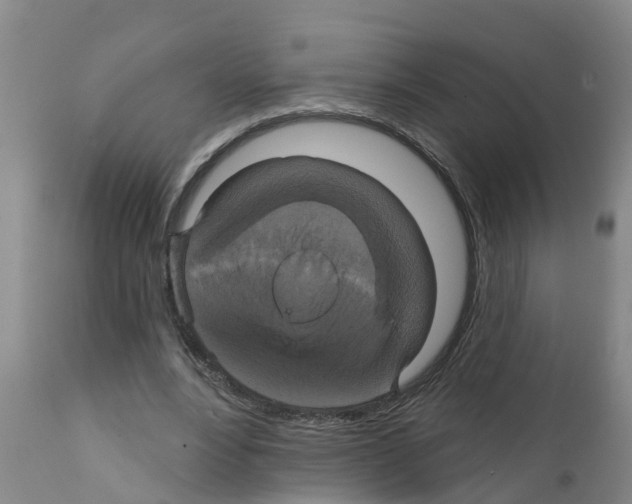 X0000111520488200908251141