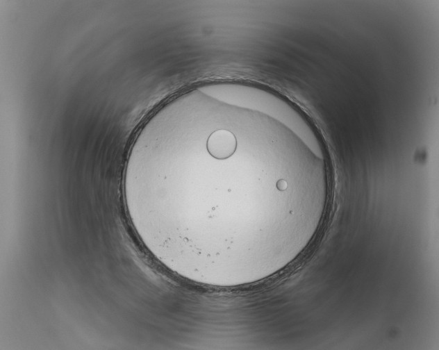 X0000111520489200908251141
