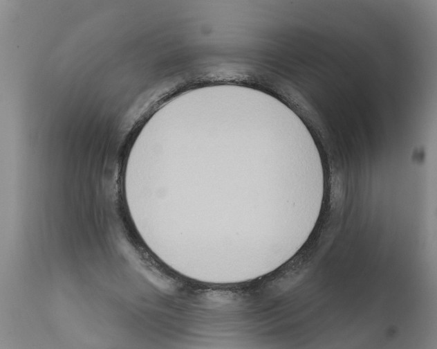 X0000111520490200908251141