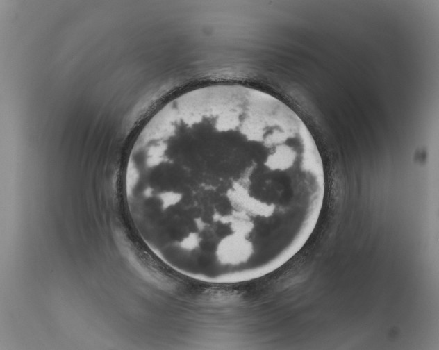 X0000111520491200908251141