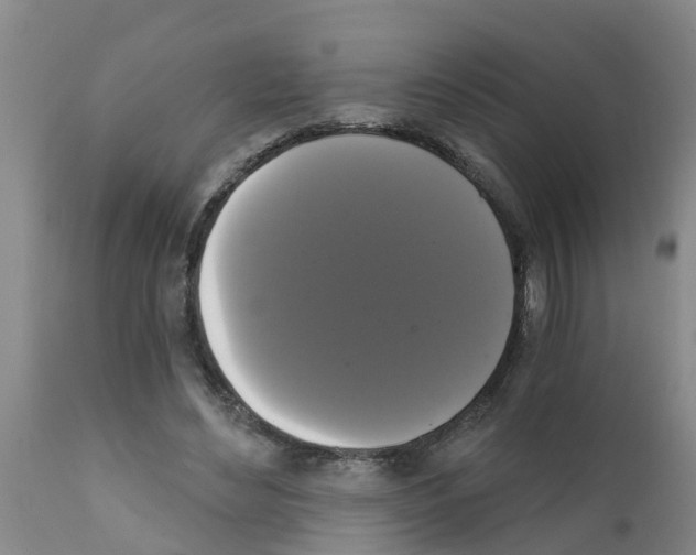 X0000111520492200908251141