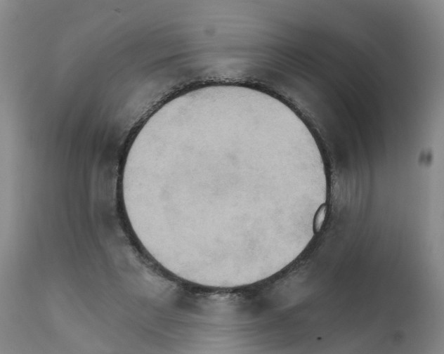 X0000111520493200908251141