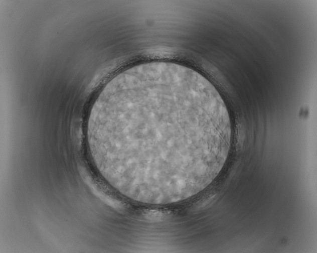 X0000111520494200908251141