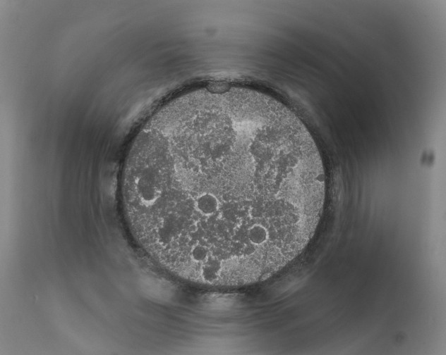 X0000111520495200908251141