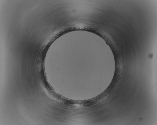 X0000111520496200908251141