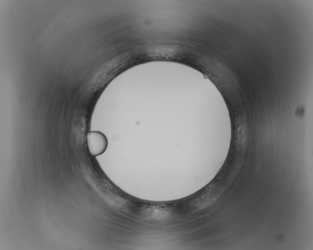 X0000111520498200908251141