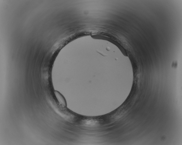 X0000111520500200908251141