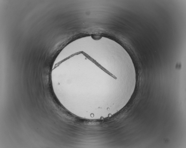 X0000111520501200908251141