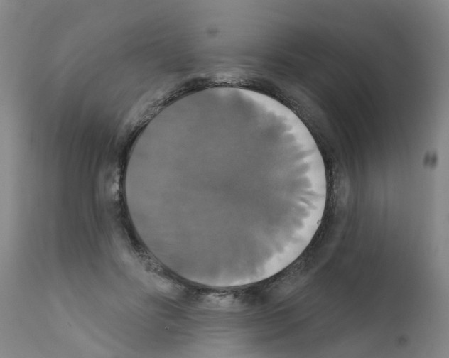 X0000111520502200908251141