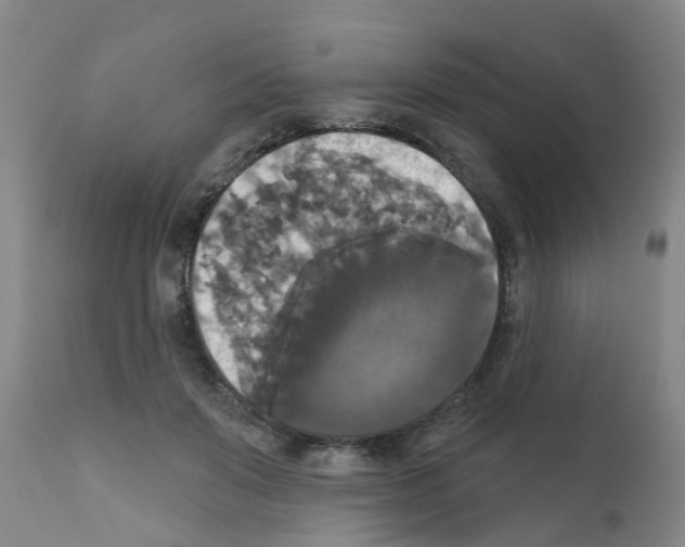 X0000111520503200908251140