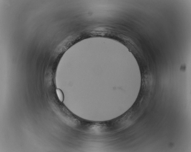 X0000111520504200908251140