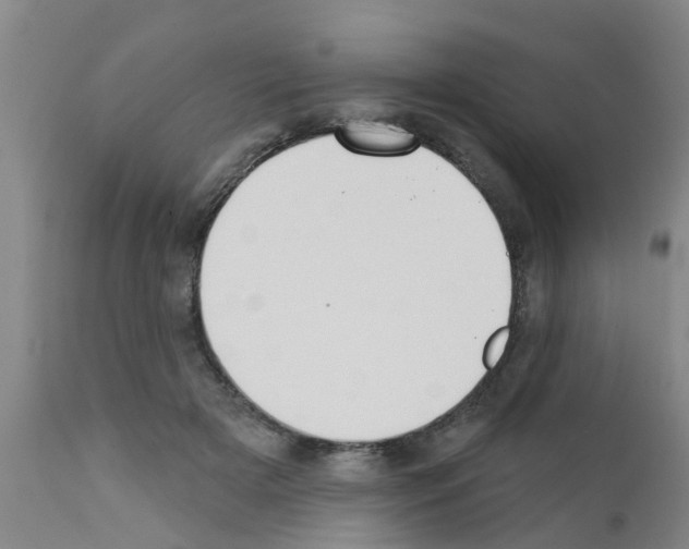 X0000111520505200908251140