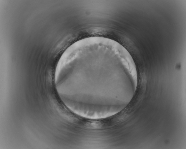 X0000111520506200908251140