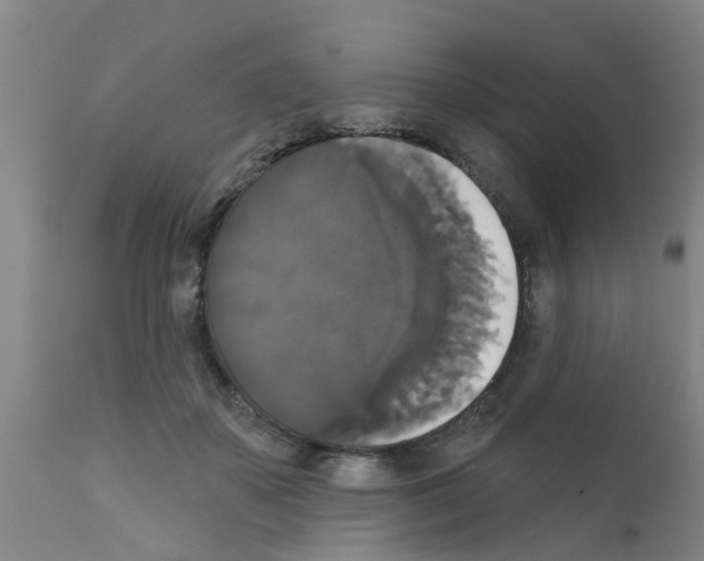 X0000111520507200908251140
