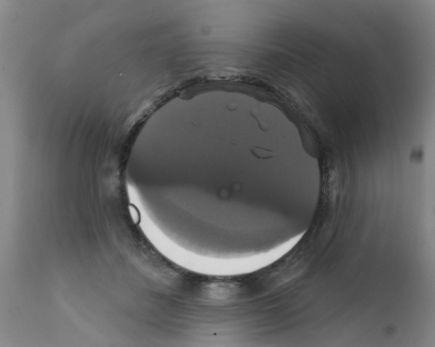 X0000111520508200908251140