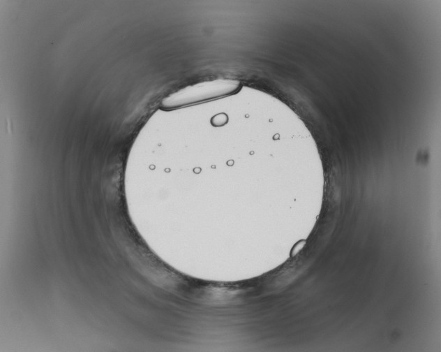 X0000111520509200908251140