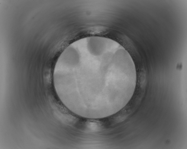 X0000111520510200908251140