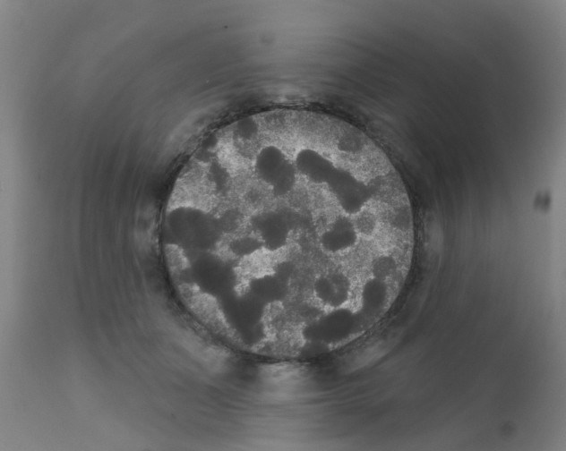X0000111520511200908251140