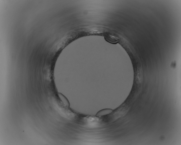 X0000111520512200908251140