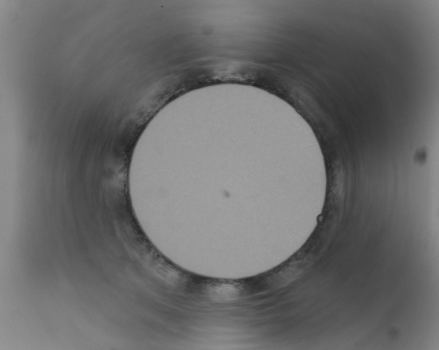X0000111520513200908251140