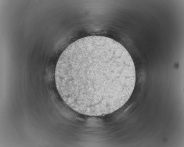 X0000111520515200908251140