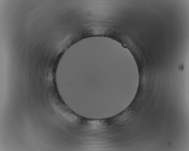X0000111520516200908251140