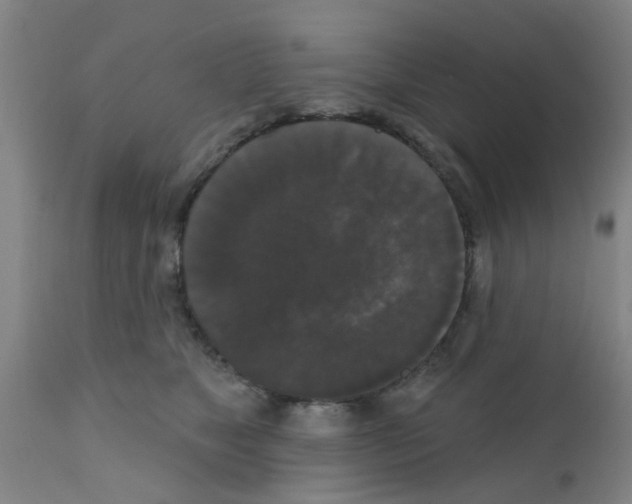 X0000111520517200908251140
