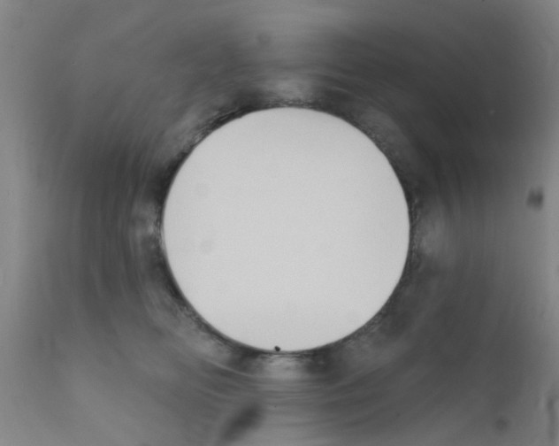 X0000111520518200908251140