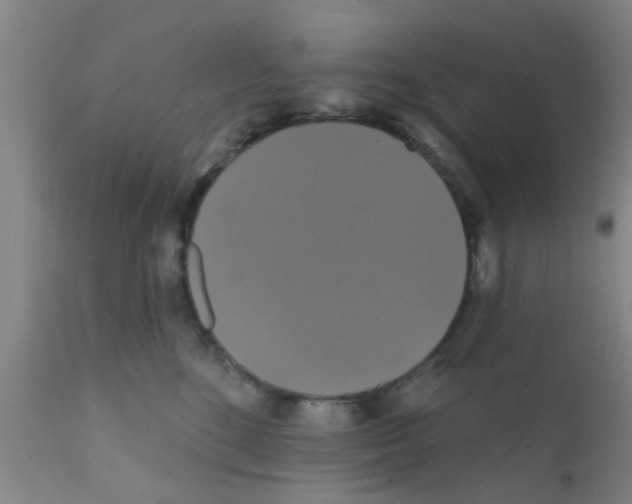 X0000111520520200908251140