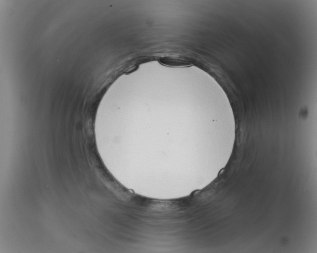 X0000111520521200908251140