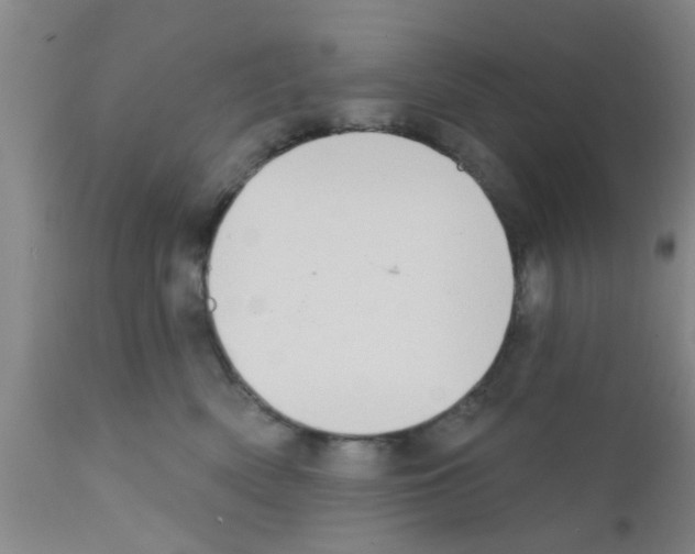 X0000111520522200908251140