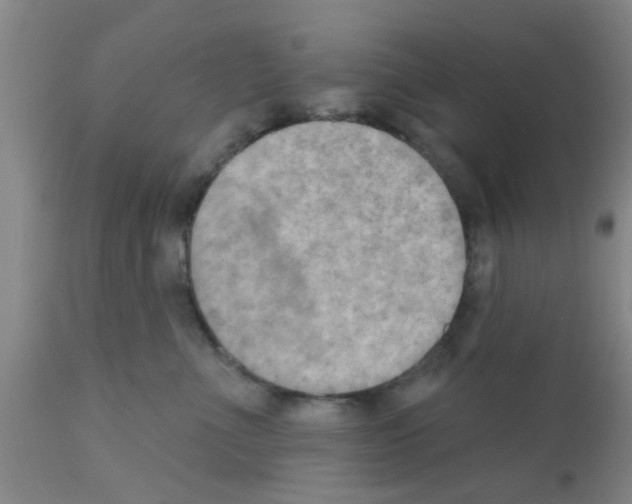X0000111520523200908251140