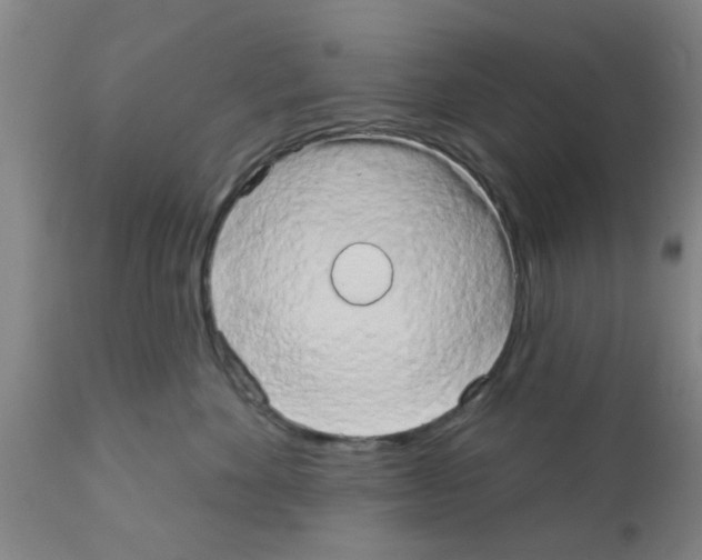 X0000111520524200908251140