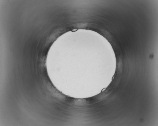 X0000111520525200908251140