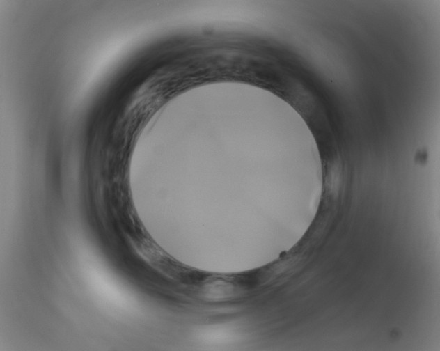 X0000111520526200908251140