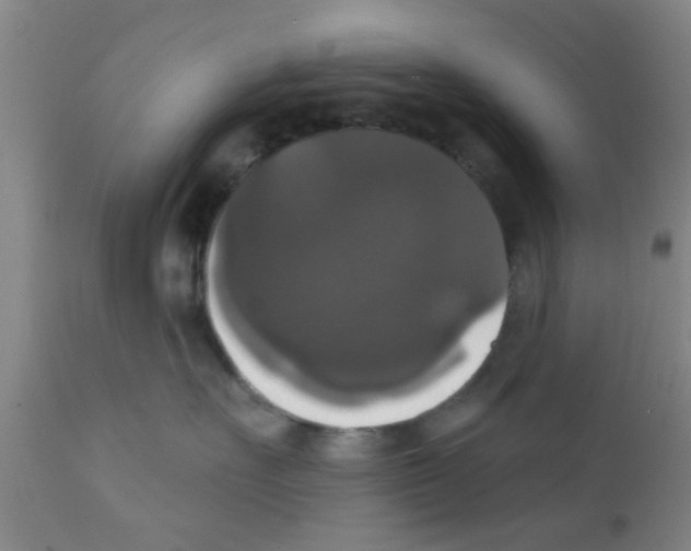X0000111520527200908251140
