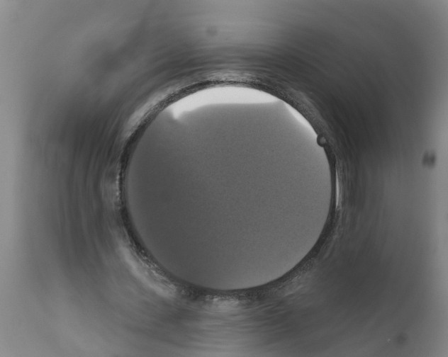 X0000111520531200908251139