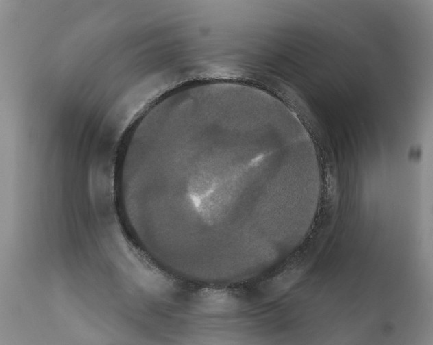 X0000111520534200908251139