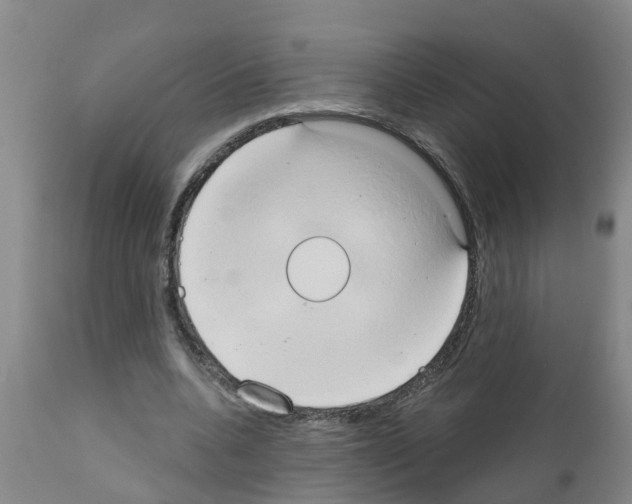 X0000111520536200908251139