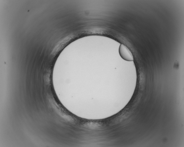 X0000111520537200908251139