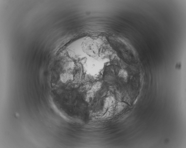 X0000111520541200908251139