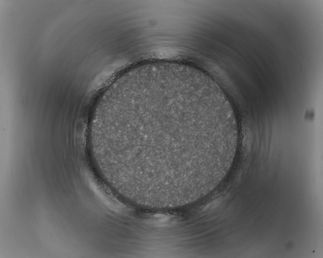 X0000111520542200908251139