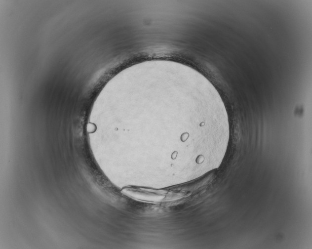 X0000111520543200908251139