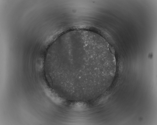 X0000111520546200908251140