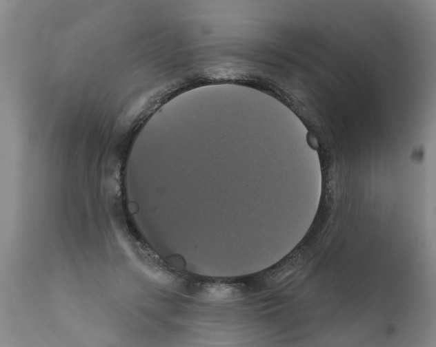 X0000111520547200908251140