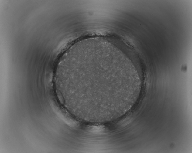 X0000111520548200908251140