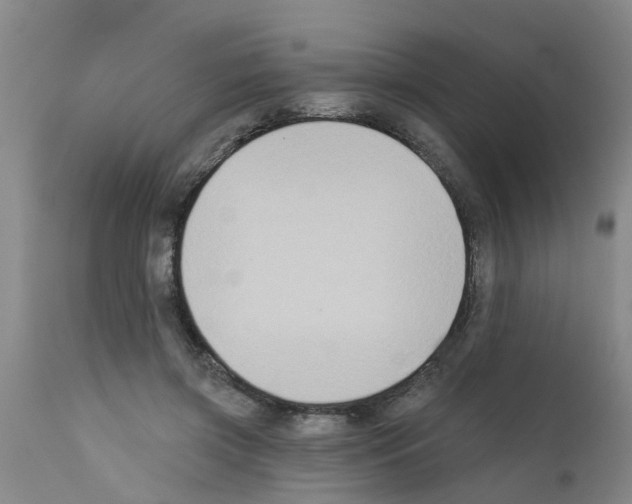 X0000111520549200908251140