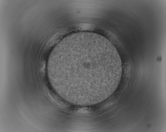 X0000111520550200908251140